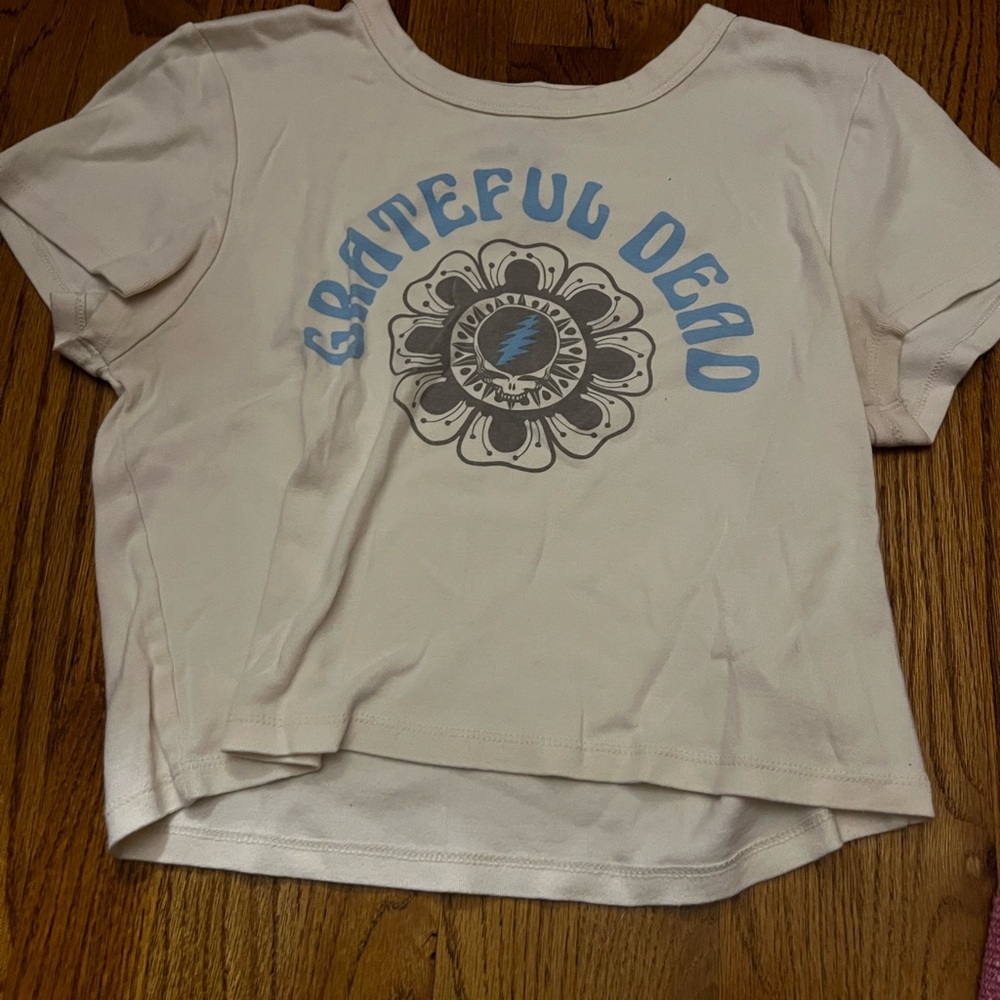 American Eagle Outfitters White and Blue Crop Top